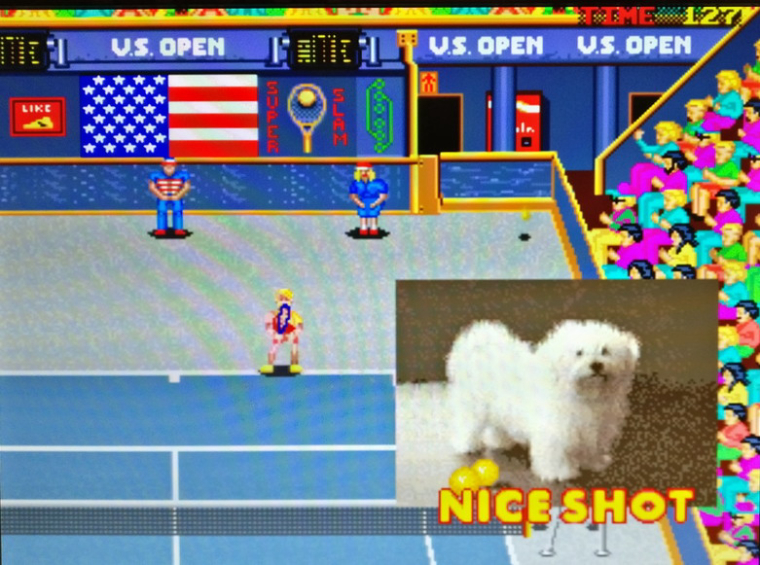 0_1516227236770_tennisdog.jpg