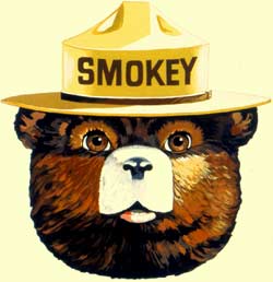 0_1486172717146_smokey.jpg